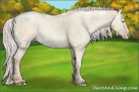 Horse Color:Silver Smoky Grullo Ice Pearl Rabicano