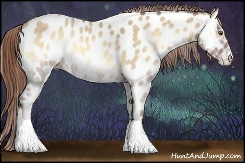 Horse Color:Classic Champagne Roan Onyx Near Leopard