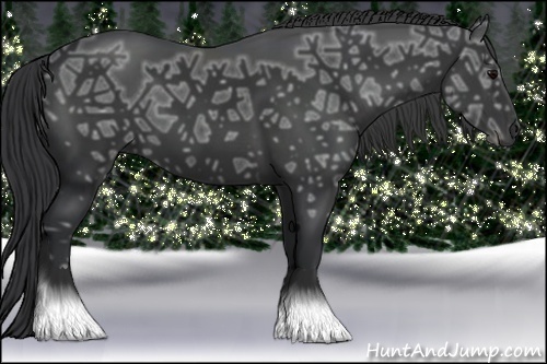 Horse Color:Black Ice 