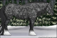 Horse Color:Black Ice 