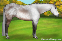 Horse Color:Gray Bay