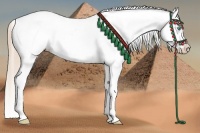 Horse Color:White Spotted Liver Chestnut Pearl Snowflake Varnish