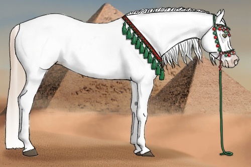 Horse Color:White Spotted Liver Chestnut Pearl Snowflake Varnish