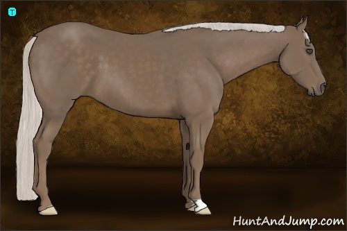 Horse Color:Silver Smoky Black Frame 