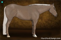 Horse Color:Silver Smoky Black Frame 