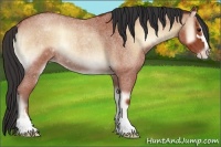 Horse Color:Bay Roan Onyx Sabino Rabicano 