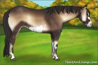 Horse Color:Liver Red Onyx Frame 