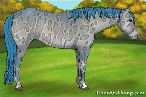 Horse Color:Watercolor Bay Ice Onyx 