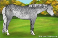 Horse Color:Silver Black Chinchilla