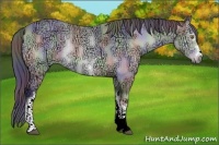 Horse Color:Nacre White Spotted Bay Chinchilla Ice Onyx Rabicano