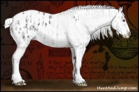 Horse Color:Silver Sable Champagne Chinchilla Ice Roan Appaloosa and Silver Sable Champagne Chinchilla Ice Roan Splash Appaloosa Rabicano
