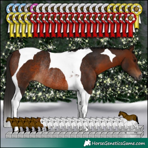 Horse Color:Gray Bay Tobiano Rabicano 