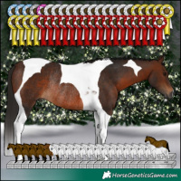 Horse Color:Gray Bay Tobiano Rabicano 