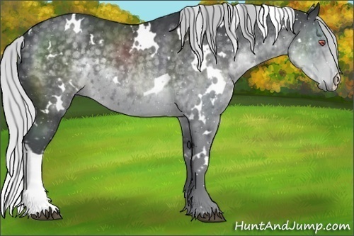 Horse Color:White Spotted Silver Black Chinchilla 