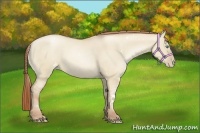 Horse Color:White Spotted Smoky Grullo Pearl Sabino 