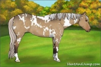 Horse Color:White Spotted Silver Brown Dun