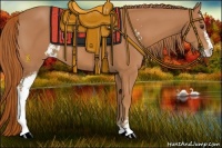 Horse Color:Chestnut Sabino