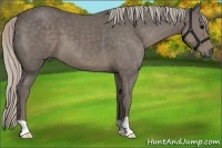 Horse Color:Silver Black 