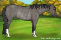 Horse Color:Smoky Grullo Rabicano 