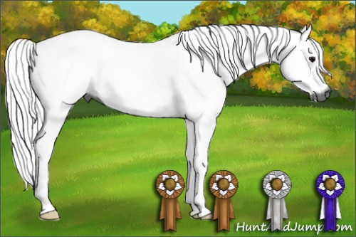 Horse Color:Gray Black 