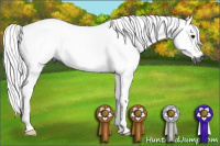 Horse Color:Gray Black 