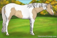 Horse Color:Silver Buckskin Dun Tobiano 