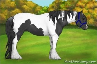Horse Color:Black Tobiano