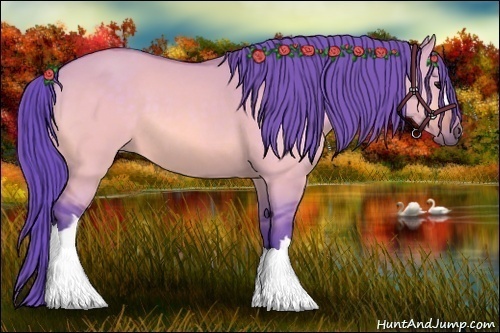 Horse Color:Watercolor Brown Dun 