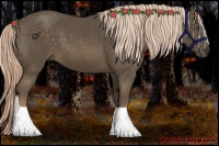 Horse Color:Chocolate Palomino 