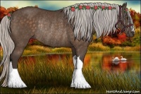 Horse Color:Silver Bay Rabicano