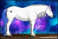 Horse Color:Watercolor White Spotted Sable Champagne Ice Tobiano Frame 