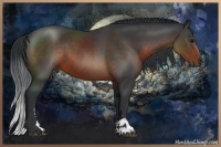 Horse Color:Brown Sabino