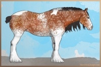 Horse Color:White Spotted Bay Ice Tobiano 