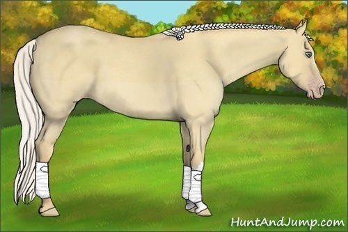 Horse Color:Silver Classic Cream Champagne Dun