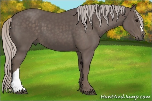 Horse Color:Silver Black 