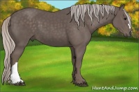 Horse Color:Silver Black 