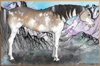 Horse Color:White Spotted Bay Splash