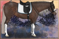 Horse Color:Silver Bay 