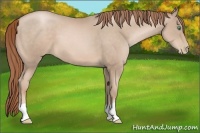 Horse Color:Smoky Black Pearl 