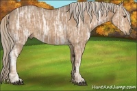 Horse Color:Chocolate Palomino Ice 