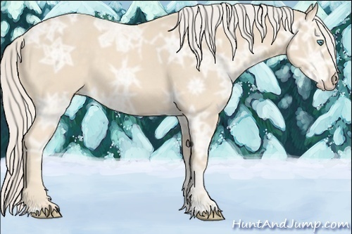 Horse Color:Cremello Ice