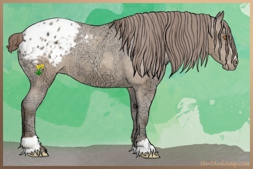 Horse Color:Sable Champagne Ice Sabino Blanket 