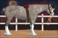 Horse Color:Silver Grullo Sabino Splash