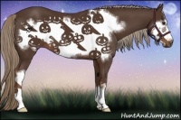 Horse Color:Liver Chestnut Frame 