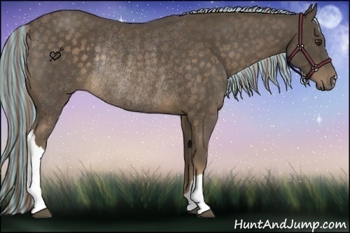 Horse Color:Painted Chocolate Palomino Rabicano 