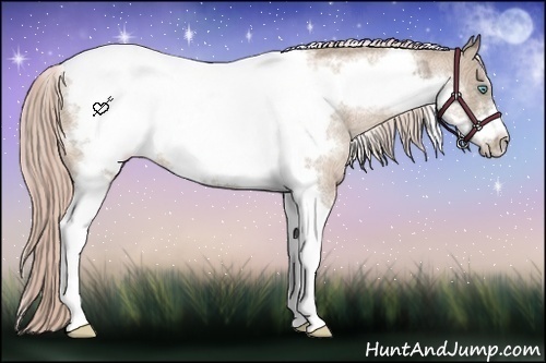 Horse Color:Chocolate Palomino Ice Pearl Tobiano Frame