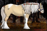 Horse Color:Silver Sable Champagne Dun Splash Tobiano Appaloosa