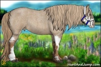 Horse Color:Red Dun Roan Splash Frame Rabicano 