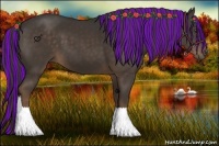 Horse Color:Painted Liver Chestnut Sabino