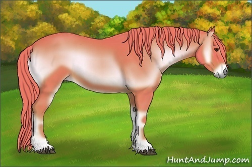 Horse Color:Watercolor Red Onyx